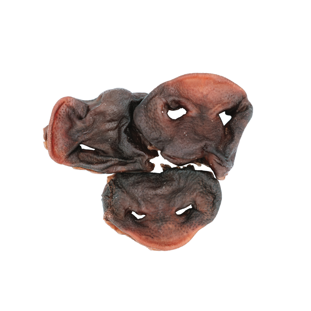 Pig Snout