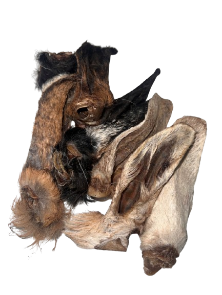 Goat Ears
