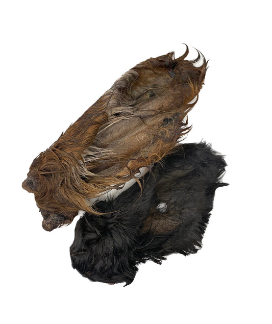 Cow Ear (with fur)