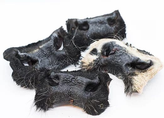Beef Snout (with fur)